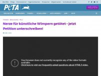 Bild zum Artikel: Nerze für künstliche Wimpern getötet – jetzt Petition unterschreiben!