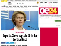 Bild zum Artikel: Experte: So versagt die EU in der Corona-Krise