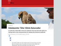 Bild zum Artikel: Unbekannter Täter tötete Kaiseradler