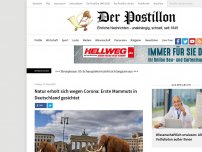 Bild zum Artikel: Natur erholt sich wegen Corona: Erste Mammuts in Deutschland gesichtet