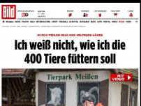 Bild zum Artikel: Allein mit 400 Tieren - Ich weiß nicht, wie ich sie morgen noch füttern soll