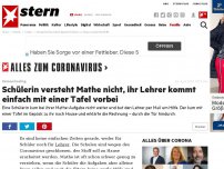 Bild zum Artikel: Homeschooling: Schülerin versteht Mathe nicht, ihr Lehrer kommt einfach mit einer Tafel vorbei