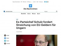 Bild zum Artikel: SPD - Ex-Parteichef Schulz fordert Streichung von EU-Geldern für Ungarn