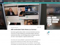 Bild zum Artikel: 'AfD verbreitet Fake News zu Corona'