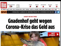 Bild zum Artikel: Keller-Ranch-Tieren droht Giftspritze - Gnadenhof geht wegen Corona-Krise das Geld aus