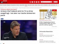 Bild zum Artikel: TV-Kolumne „Maybrit Illner Spezial“ - Grünen-Chef Habeck wird im TV zu Corona-Krise ausgefragt - hat aber nur lasche Antworten parat