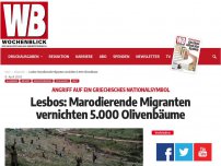 Bild zum Artikel: Lesbos: Marodierende Migranten vernichten 5.000 Olivenbäume
