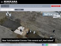 Bild zum Artikel: New York bestattet Corona-Tote vorerst auf „Hart Island“