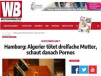 Bild zum Artikel: Hamburg: Algerier tötet dreifache Mutter, schaut danach Pornos