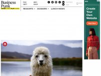 Bild zum Artikel: Ihr könnt jetzt gegen Spende ein Lama in den Business-Videocall einladen