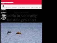 Bild zum Artikel: Delfinsichtung in Deutschland