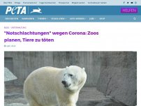 Bild zum Artikel: 'Notschlachtungen' wegen Corona: Zoos planen, Tiere zu töten