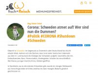 Bild zum Artikel: Corona: Schweden atmet auf! Wer sind nun die Dummen?