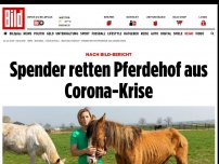 Bild zum Artikel: Nach BILD-Bericht - Spender retten Pferdehof aus Corona-Krise
