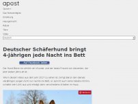 Bild zum Artikel: Deutscher Schäferhund bringt 4-Jährigen jede Nacht ins Bett