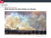 Bild zum Artikel: Waldbrände in Tschernobyl: Ärzte warnen vor Atom-Wolke aus Ukraine