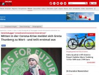 Bild zum Artikel: Seitenhieb gegen 'umweltverschmutzende Unternehmen' - Mitten in der Corona-Krise meldet sich Greta Thunberg zu Wort - und teilt erstmal aus