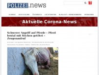 Bild zum Artikel: Schwerer Angriff auf Pferde – Pferd brutal mit Stichen getötet – Zeugenaufruf