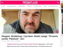 Bild zum Artikel: Wegen Mobbing: Carsten Stahl zeigt 'Promis unter Palmen' an!
