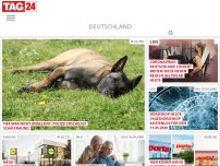 Bild zum Artikel: Tier war nicht angeleint: Polizei erschießt Schäferhund