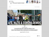 Bild zum Artikel: So sehr sind die Corona-Demos von Rechtsextremisten & Neonazis unterwandert