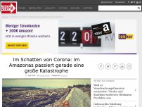 Bild zum Artikel: Neue Zahlen: Im Amazonas passiert im Schatten von Corona gerade eine große Katastrophe