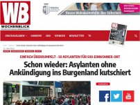 Bild zum Artikel: Schon wieder: Asylanten ohne Ankündigung ins Burgenland kutschiert