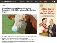 Bild zum Artikel: Für sicheren Kontakt mit deutschen Touristen: Killerkühe müssen Mundschutz tragen