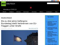 Bild zum Artikel: Bis zu drei Jahre Gefängnis: Bundestag stellt Verbrennen von EU-Flaggen unter Strafe