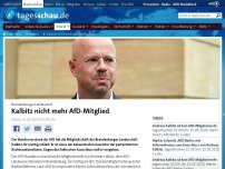 Bild zum Artikel: AfD schließt Brandenburger Landeschef Kalbitz aus