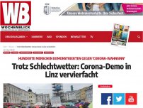 Bild zum Artikel: Trotz Schlechtwetter: Corona-Demo in Linz vervierfacht