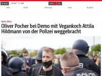Bild zum Artikel: Oliver Pocher bei Demo mit Vegankoch Attila Hildmann von der Polizei abgeführt