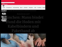 Bild zum Artikel: Kastration zu teuer?