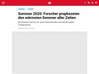 Bild zum Artikel: Sommer 2020: Forscher prophezeien den wärmsten Sommer aller Zeiten