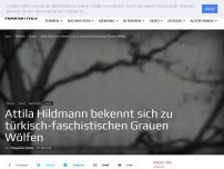 Bild zum Artikel: Attila Hildmann bekennt sich zu türkisch-faschistischen Grauen Wölfen