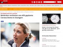 Bild zum Artikel: Alice Weidel wollte dort auftreten - Behörden verbieten von AfD geplante Corona-Demo in Stuttgart