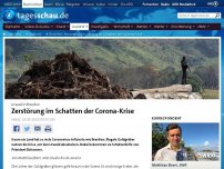 Bild zum Artikel: Brasilien: Amazonas-Zerstörung im Schatten der Corona-Krise