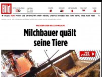 Bild zum Artikel: Folgen der Billig-Milch? - Milchbauer quält seine Tiere