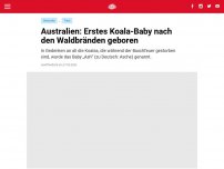 Bild zum Artikel: Australien: Erstes Koala-Baby nach den Waldbränden geboren