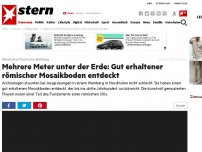 Bild zum Artikel: Historischer Fund unter Weinberg: Mehrere Meter unter der Erde: Gut erhaltener römischer Mosaikboden entdeckt