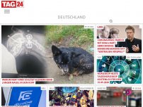 Bild zum Artikel: Warum nur? Kind schlägt kleinem Hund langen Nagel in den Kopf