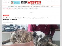 Bild zum Artikel: Hund in Dortmund entdeckt: Kot und Urin tropften vom Balkon – der Ausgang ist tragisch