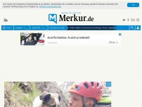 Bild zum Artikel: Nach tagelanger Suche am Berg: Hund Timmi wohlbehalten gefunden