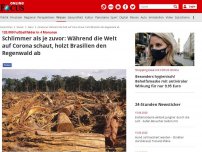 Bild zum Artikel: 120.000 Fußballfelder in 4 Monaten - Schlimmer als je zuvor: Während die Welt auf Corona schaut, holzt Brasilien den Regenwald ab