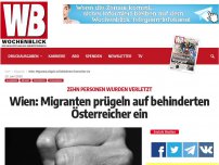 Bild zum Artikel: Wien: Migranten prügeln auf behinderten Österreicher ein
