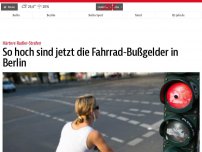 Bild zum Artikel: So hoch sind jetzt die Fahrrad-Bußgelder in Berlin
