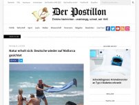 Bild zum Artikel: Natur erholt sich: Deutsche wieder auf Mallorca gesichtet