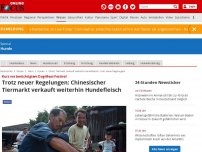 Bild zum Artikel: Kurz vor berüchtigtem Dog-Meat-Festival - Trotz neuer Regelungen: Chinesischer Tiermarkt verkauft weiterhin Hundefleisch