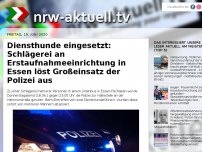 Bild zum Artikel: Diensthunde eingesetzt: Schlägerei an Erstaufnahmeeinrichtung in Essen löst Großeinsatz der Polizei aus