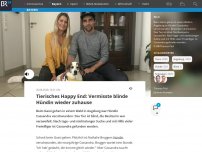 Bild zum Artikel: Tierisches Happy End: Vermisste blinde Hündin wieder zuhause